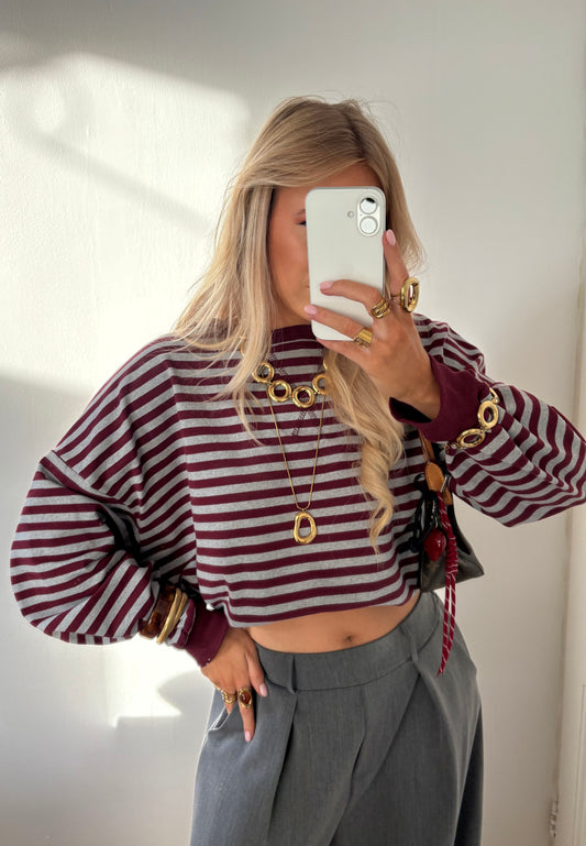 Leonie stripes longsleeve grijs/bordeaux