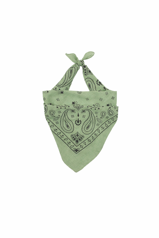 Paisley scarf groen