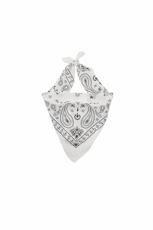 Paisley scarf wit